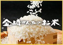 米 うるち米 違い もち うるち米の特徴ともち米・白米との違い！知っておきたいお米の種類も解説